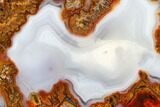 Colorful, Polished Agate Section - Kerrouchen, Morocco #181320-1